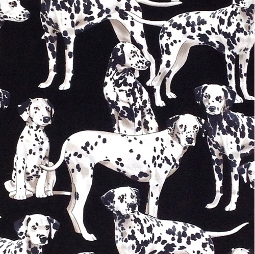 Dalmations Dogs