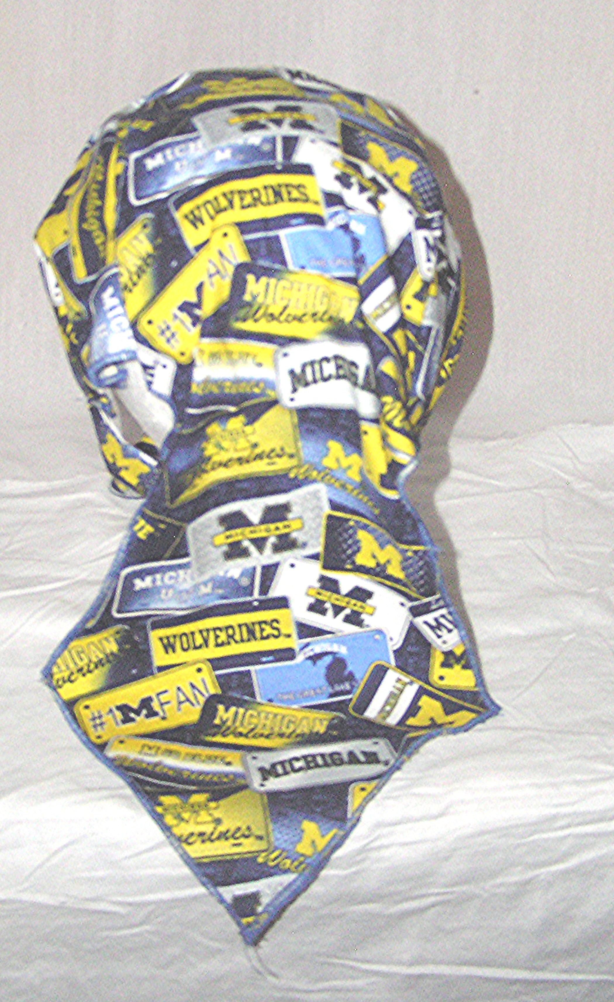 Michigan U License Du-rag